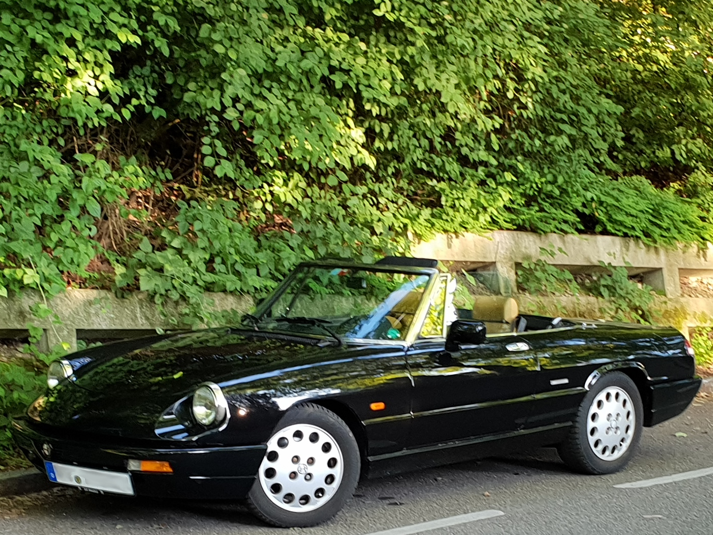 Alfa Romeo Spider