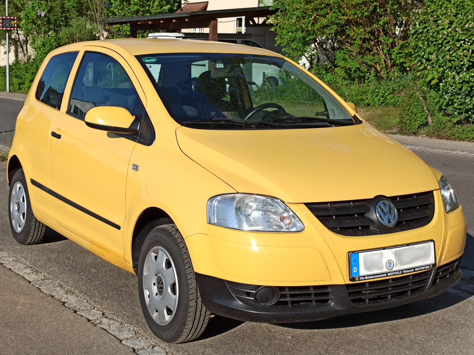 VW Fox