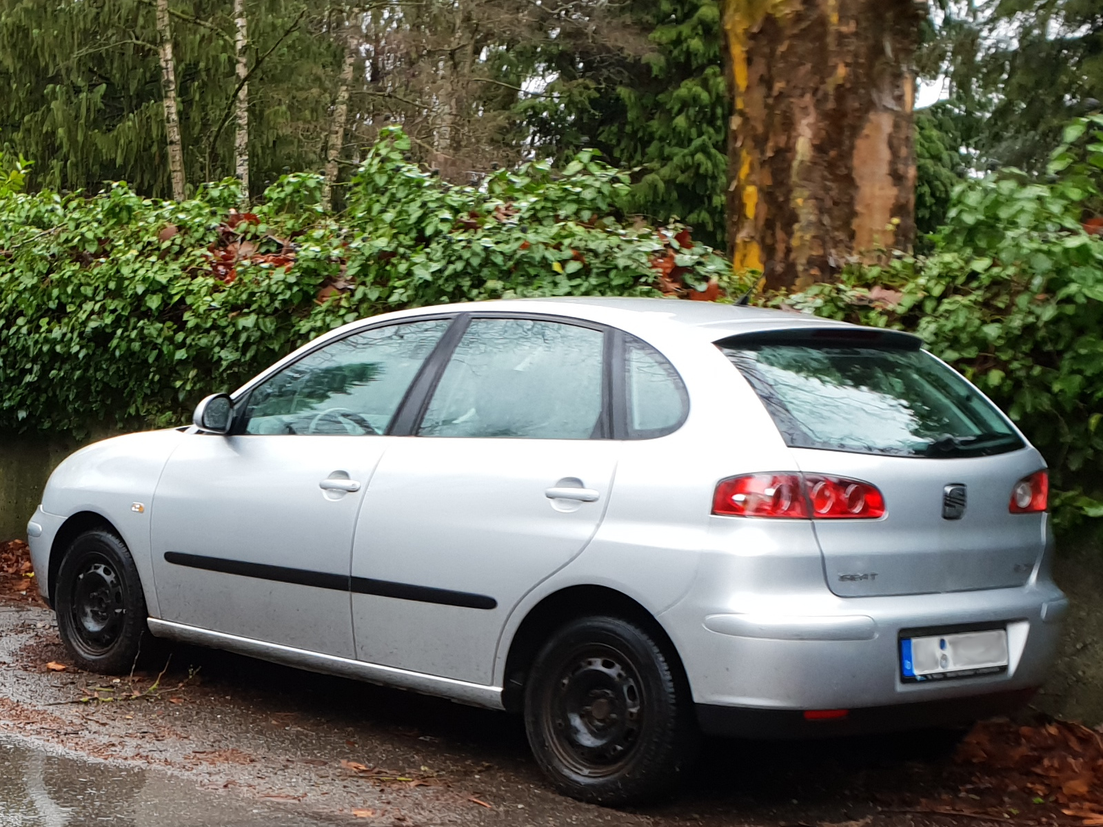 Seat Ibiza