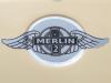 Merlin Detail