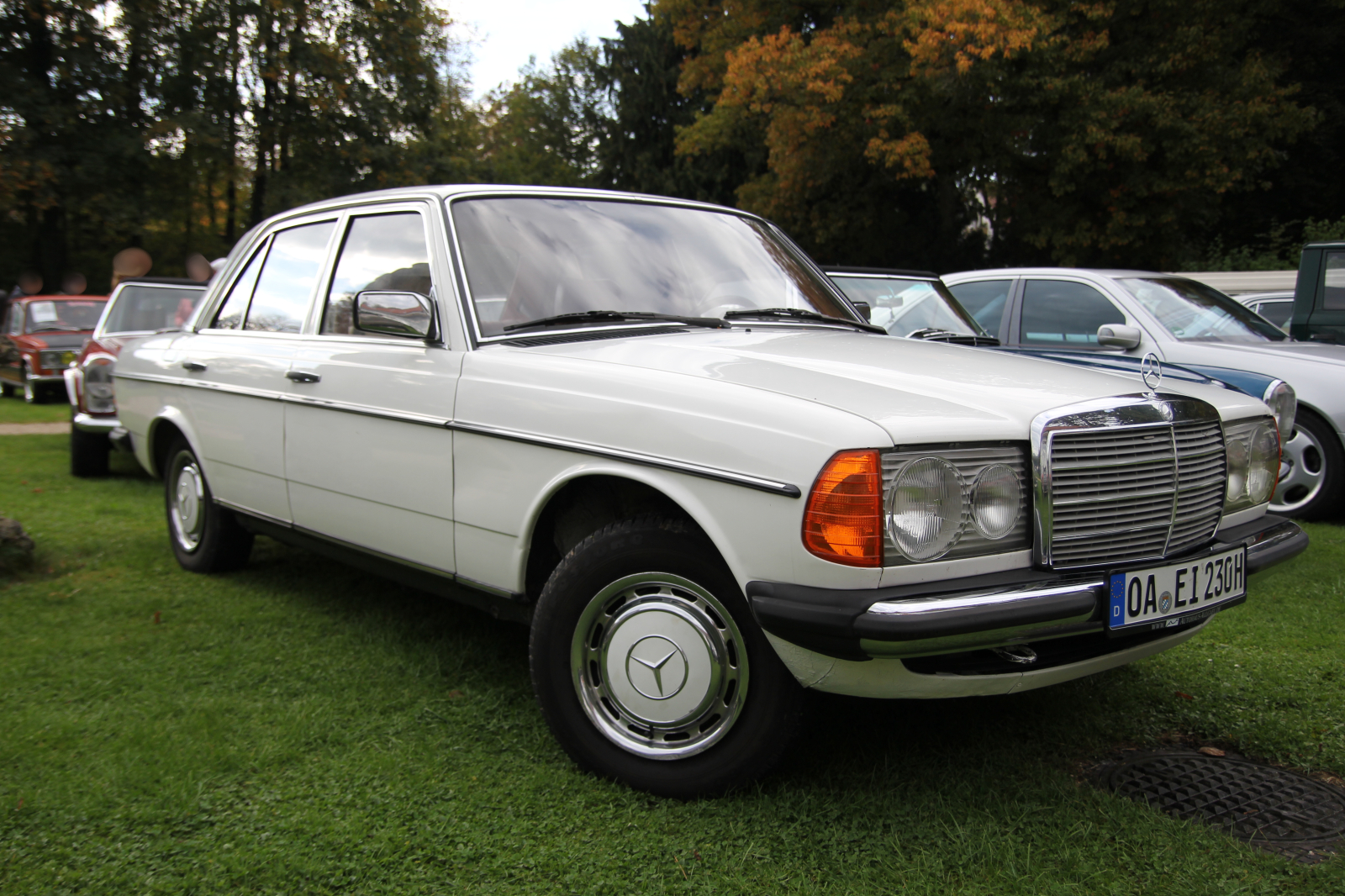 Mercedes Benz W 123