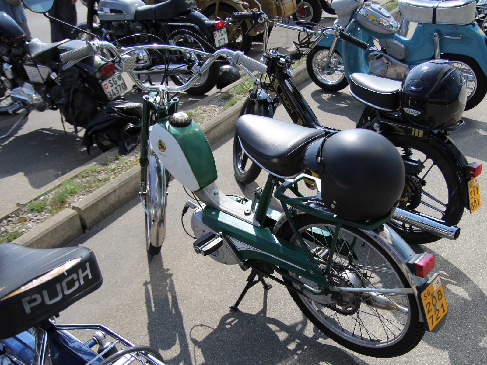 Pony 503