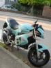 Gilera DNA